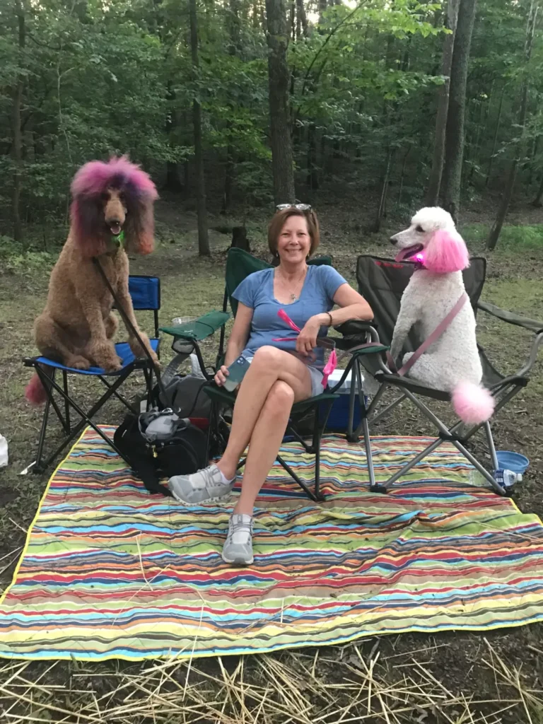 🐶🐾 Dog Days of Summer at Solace 🐾🐶